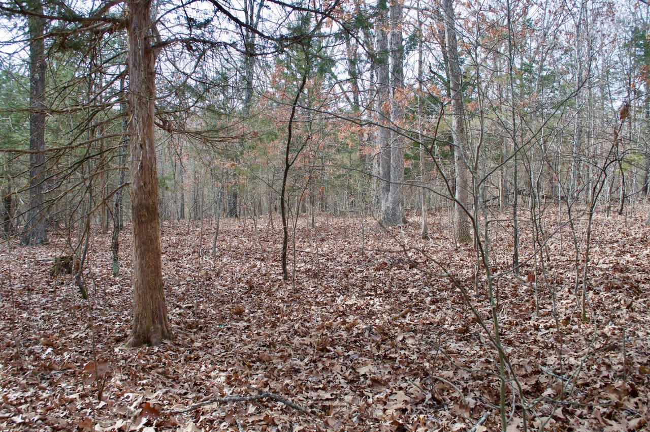 Listing Image 17