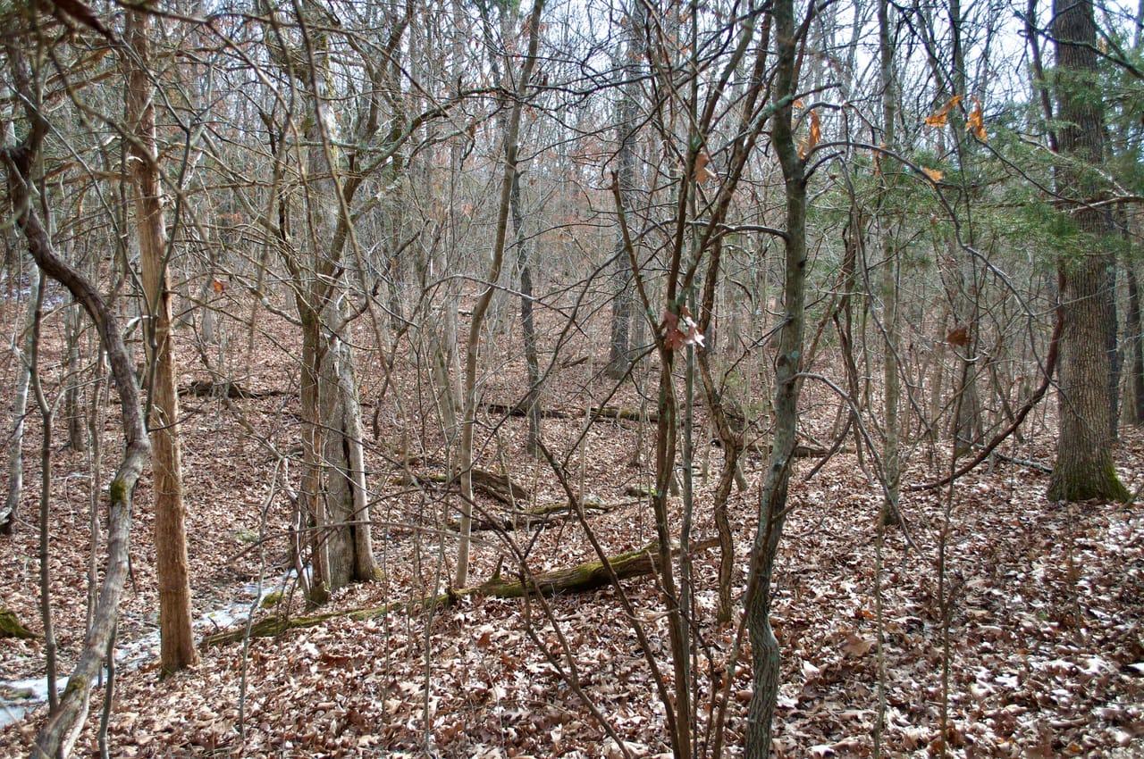 Listing Image 18