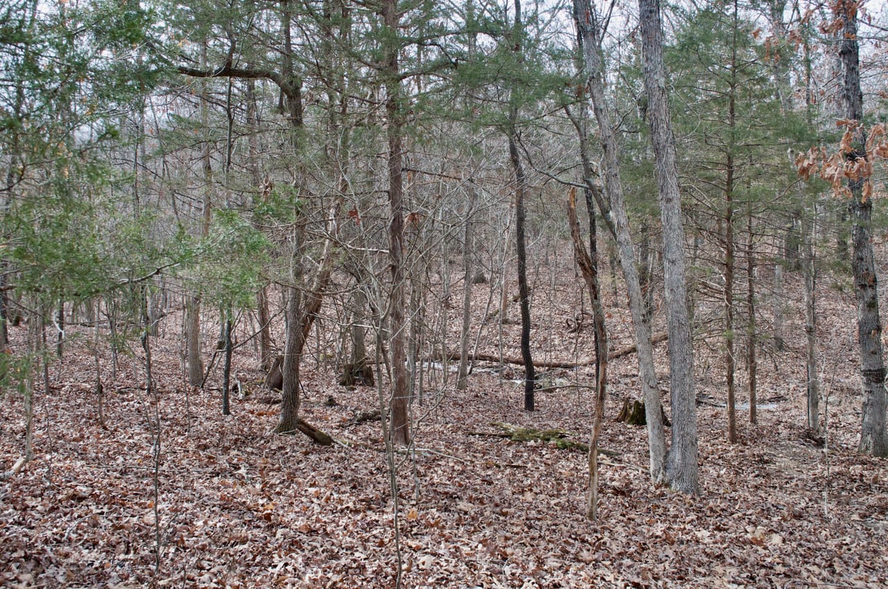 Listing Image 20