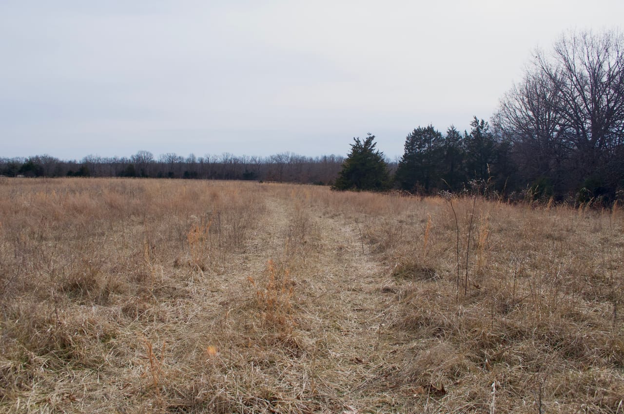 Listing Image 25