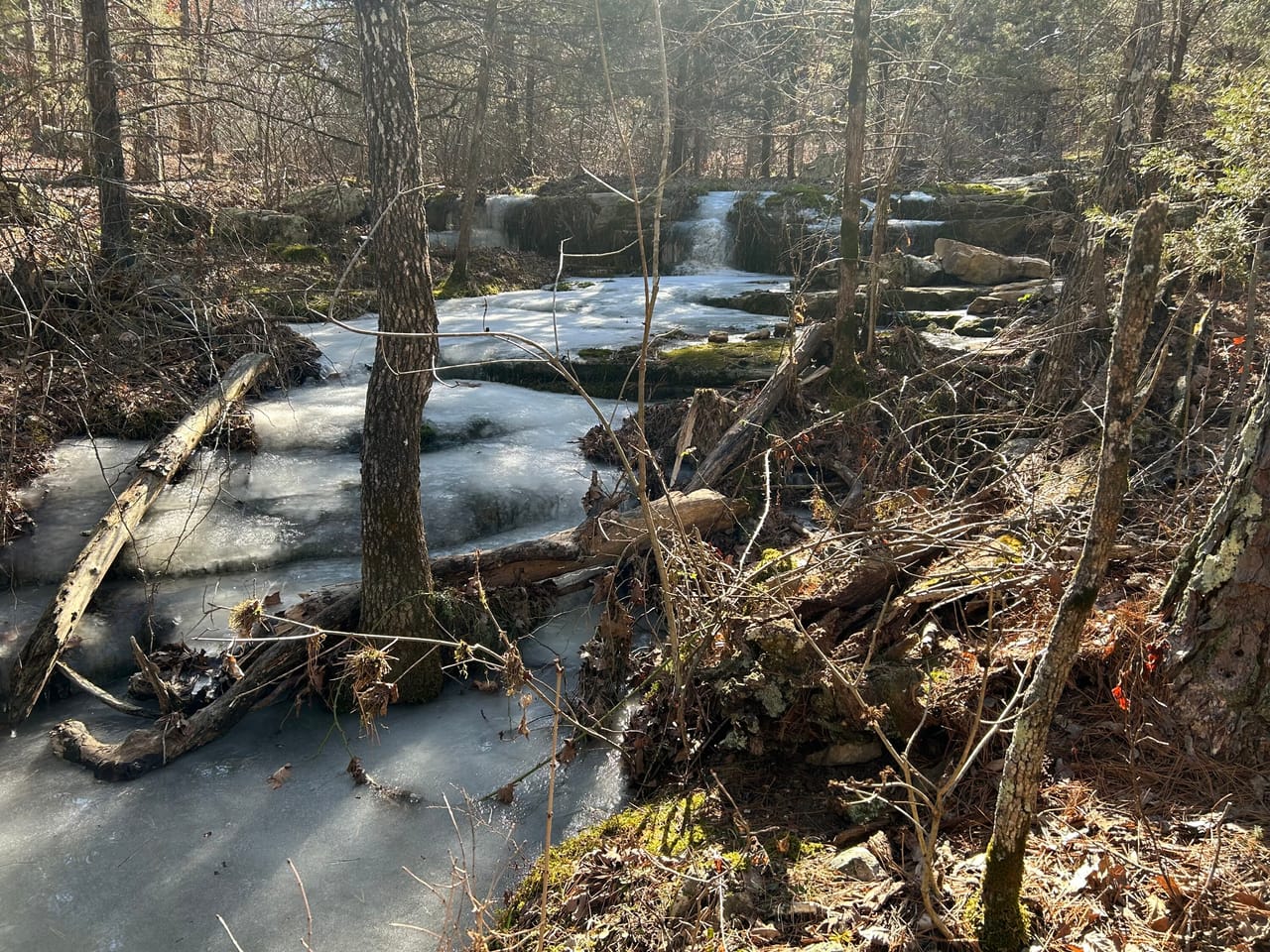 Listing Image 21