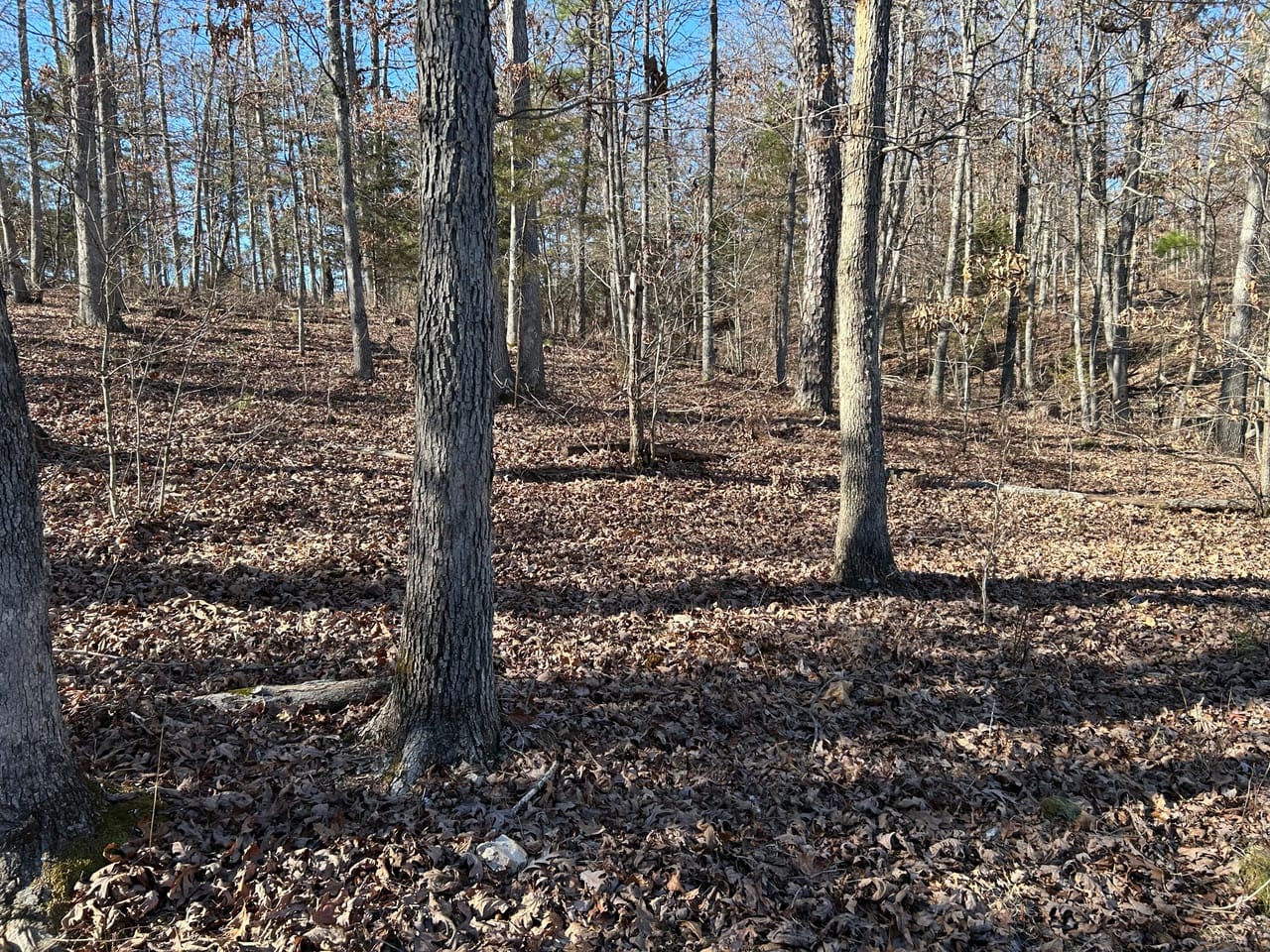 Listing Image 24