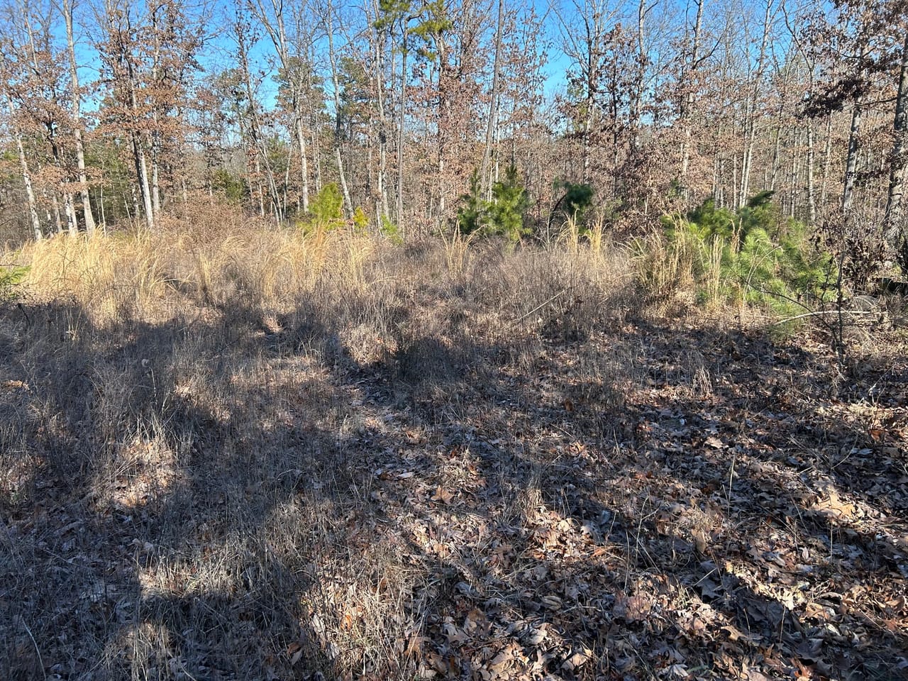 Listing Image 25