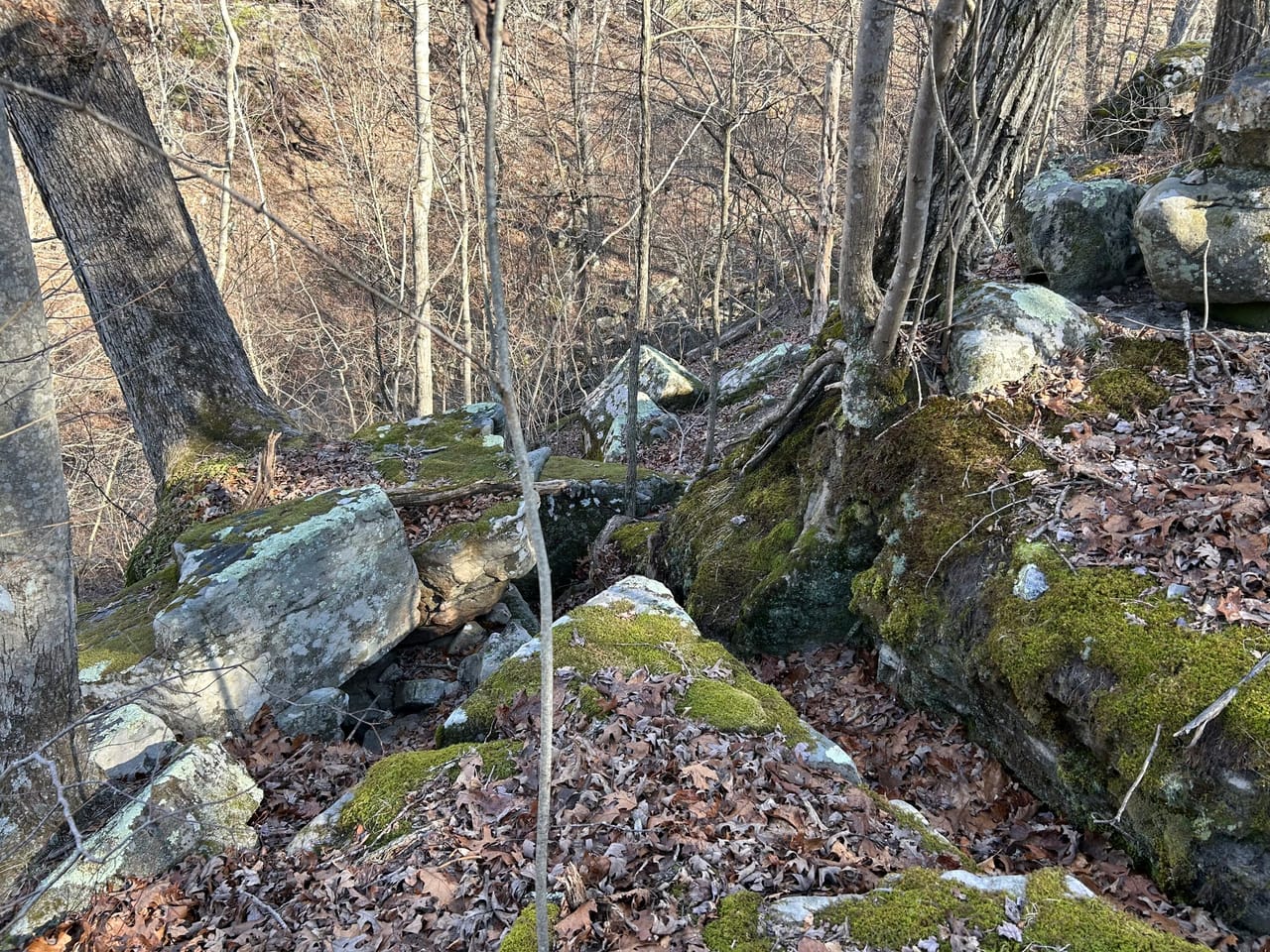 Listing Image 3