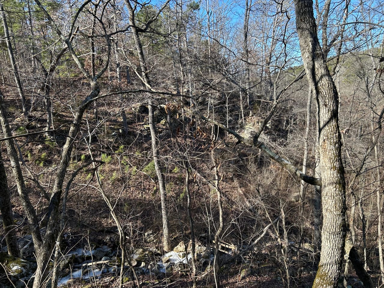 Listing Image 5