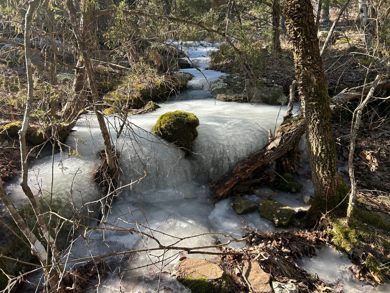 Listing Image 8