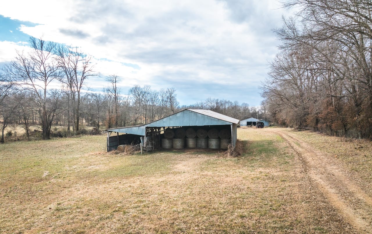 Listing Image 12