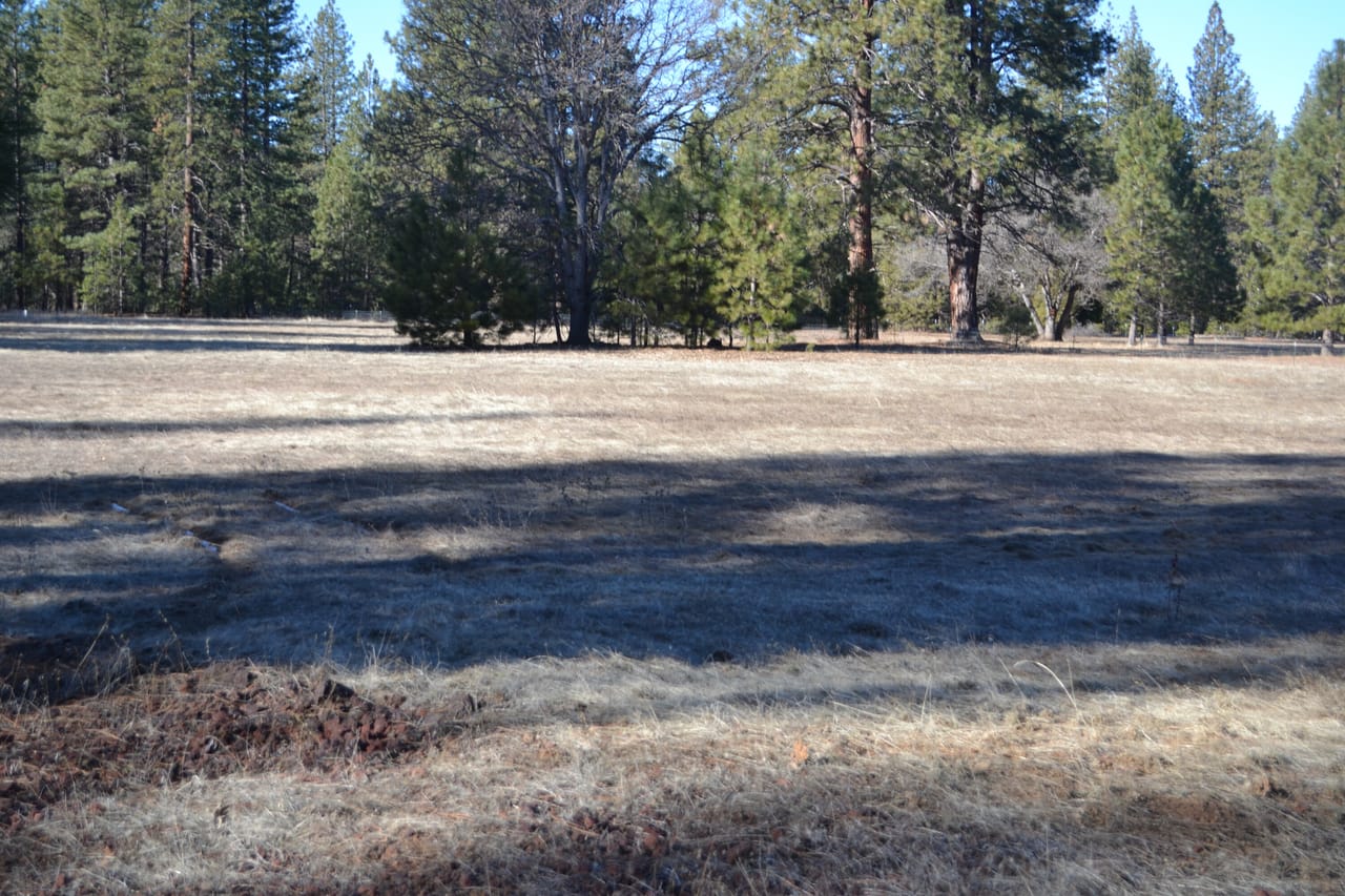 Listing Image 28