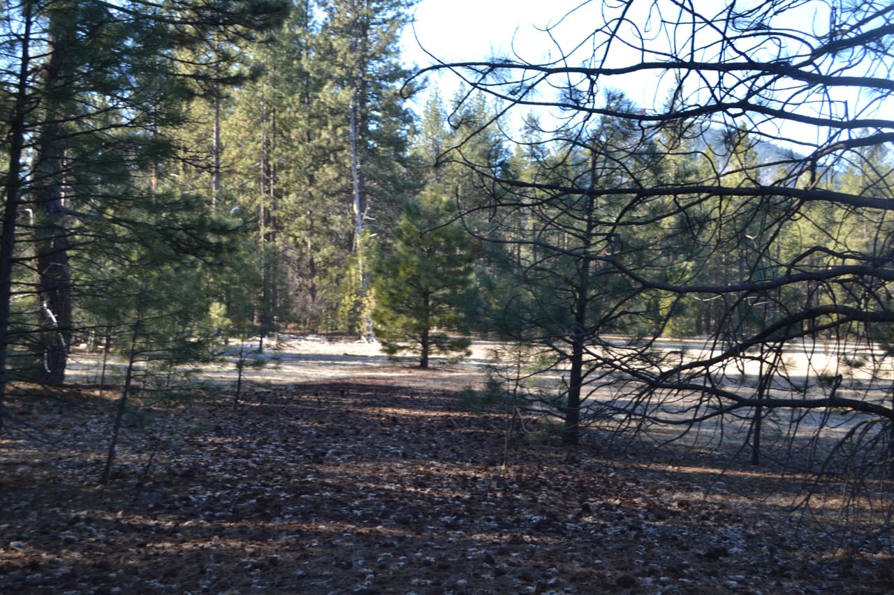 Listing Image 29
