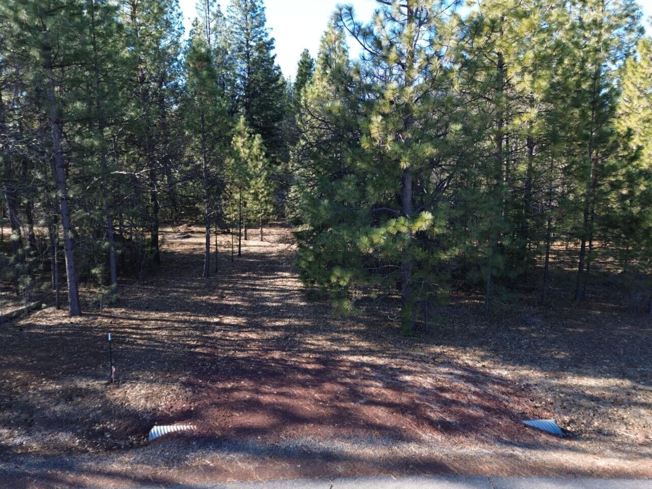 Listing Image 31