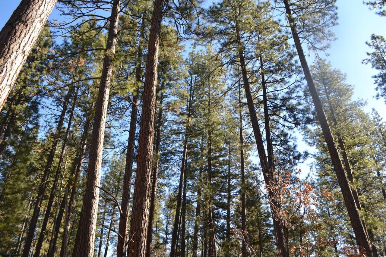 Listing Image 4