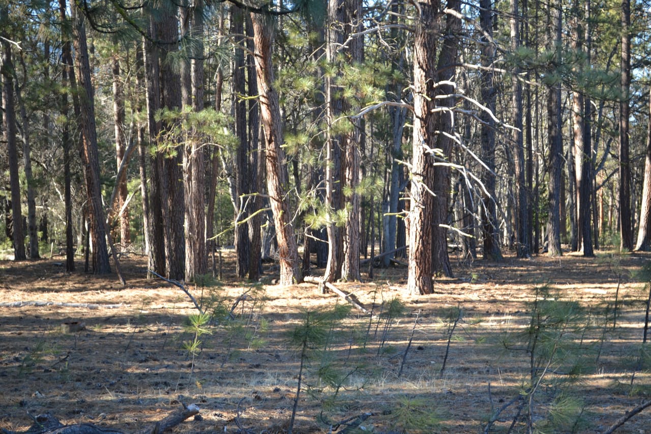 Listing Image 8