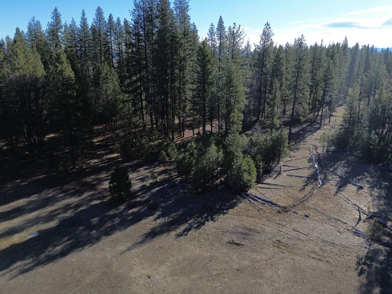 Listing Image 18