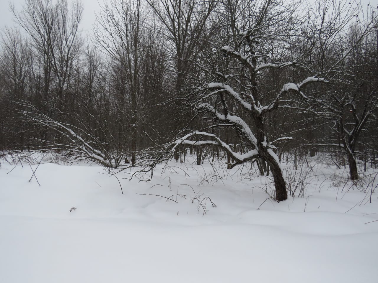 Listing Image 5