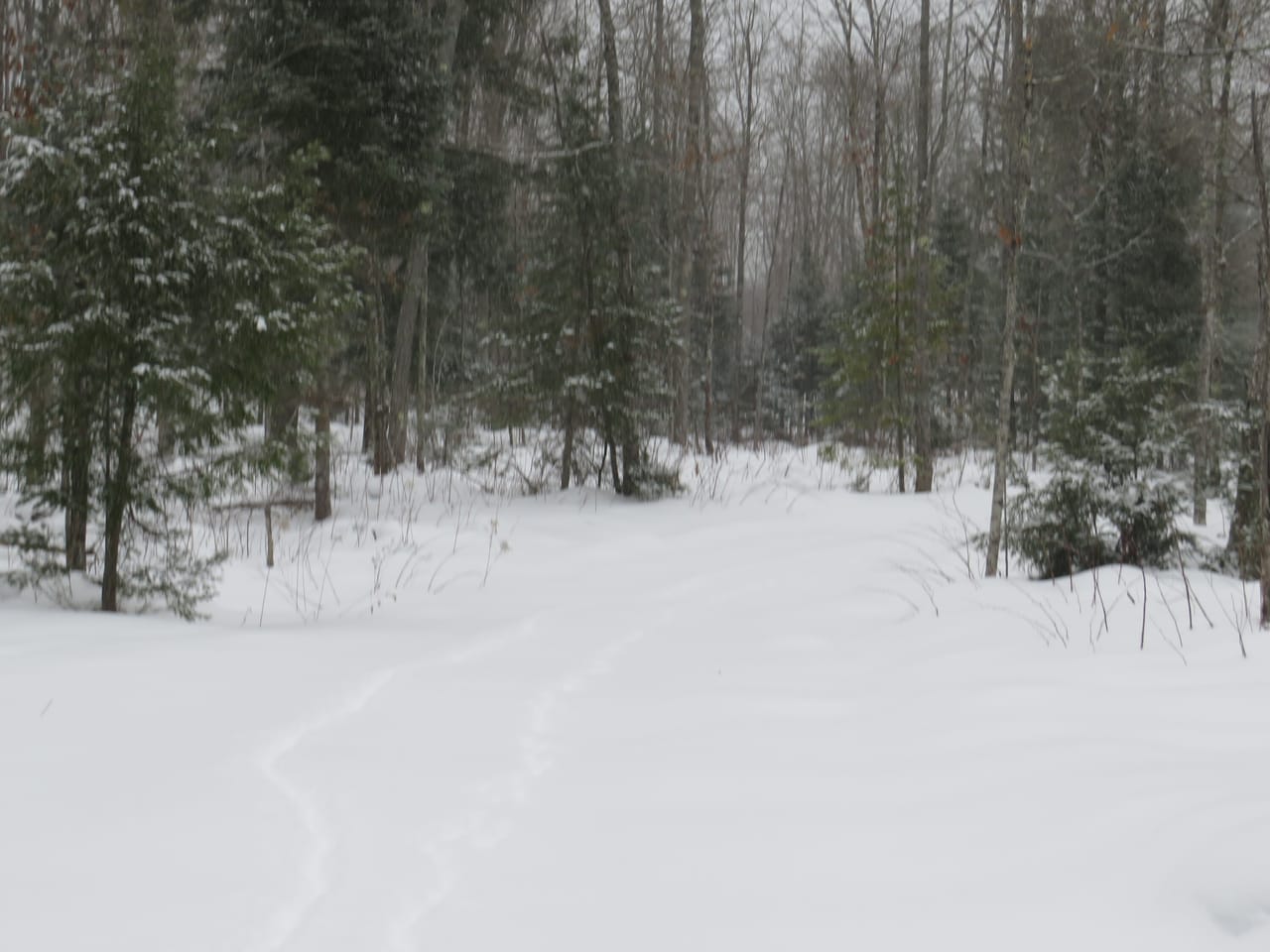 Listing Image 55