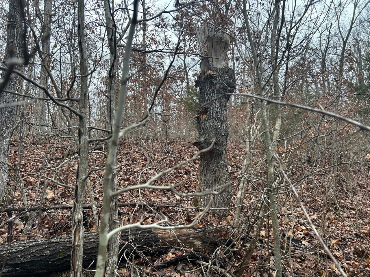 Listing Image 4