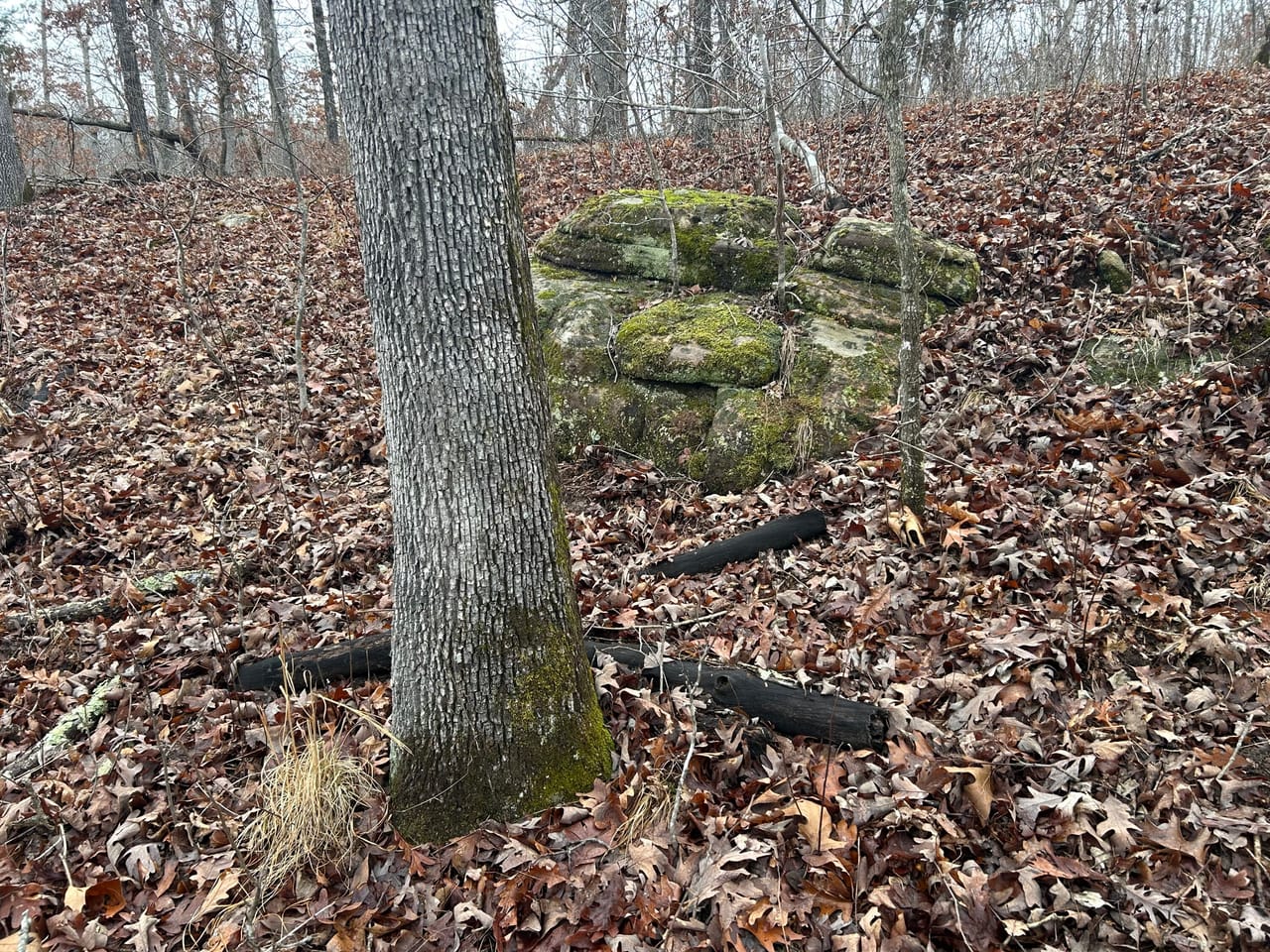 Listing Image 6