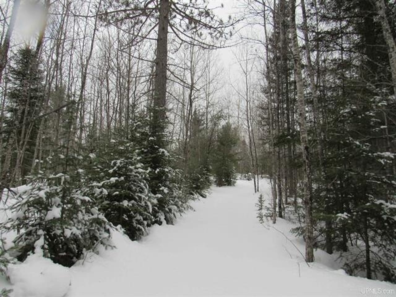 Listing Image 36