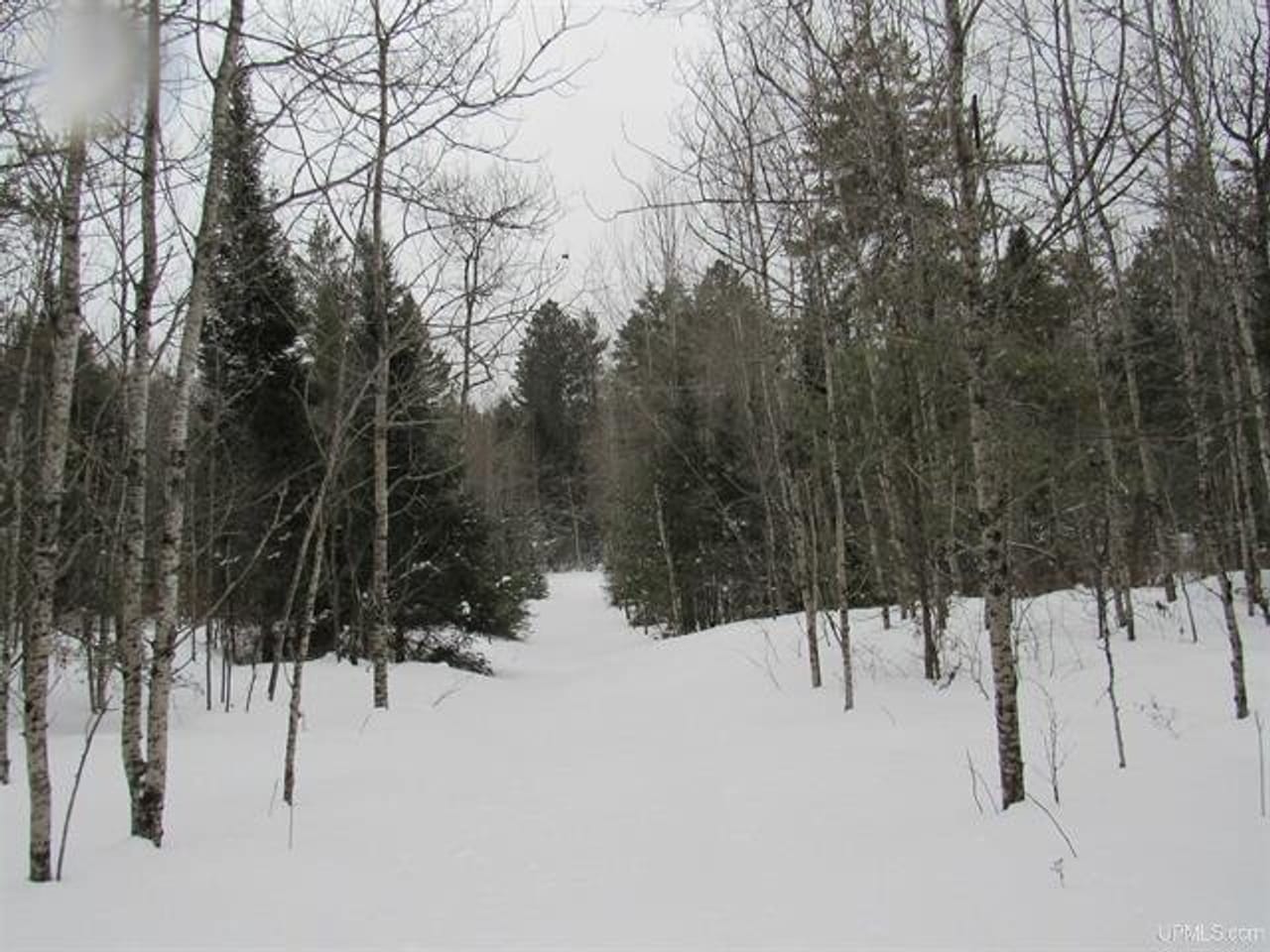 Listing Image 38