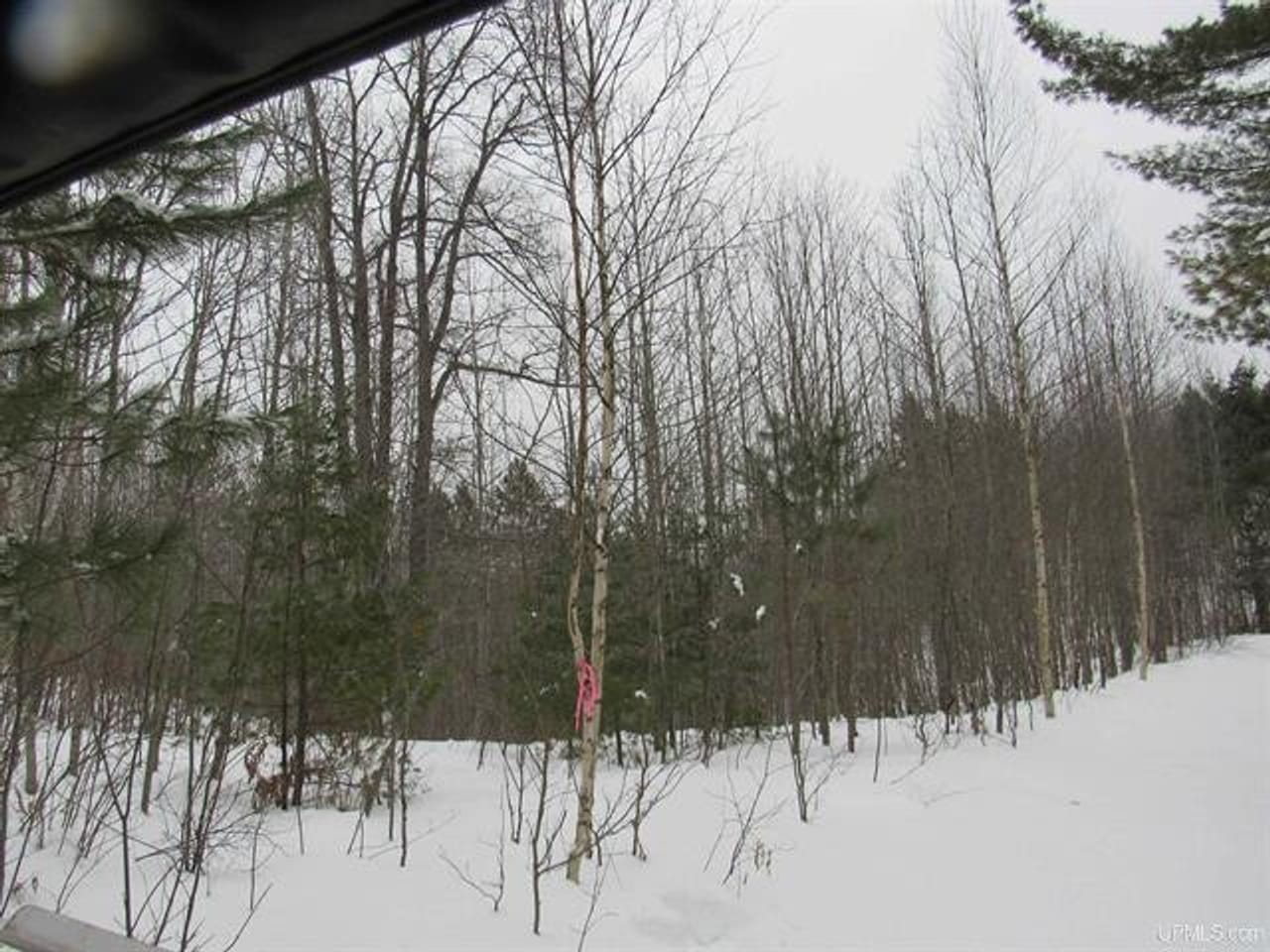 Listing Image 46