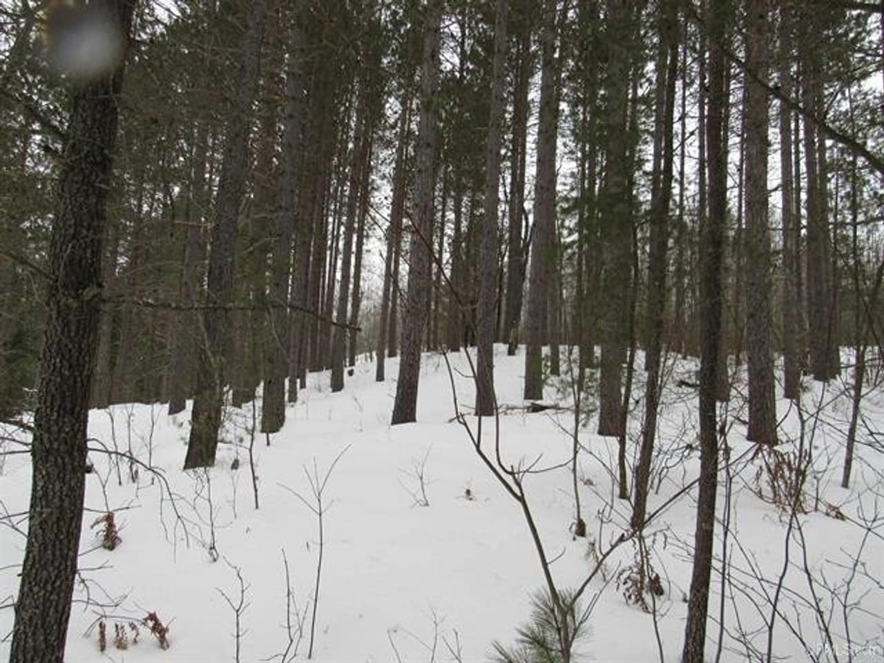 Listing Image 47