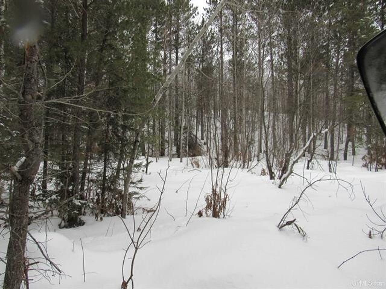 Listing Image 50