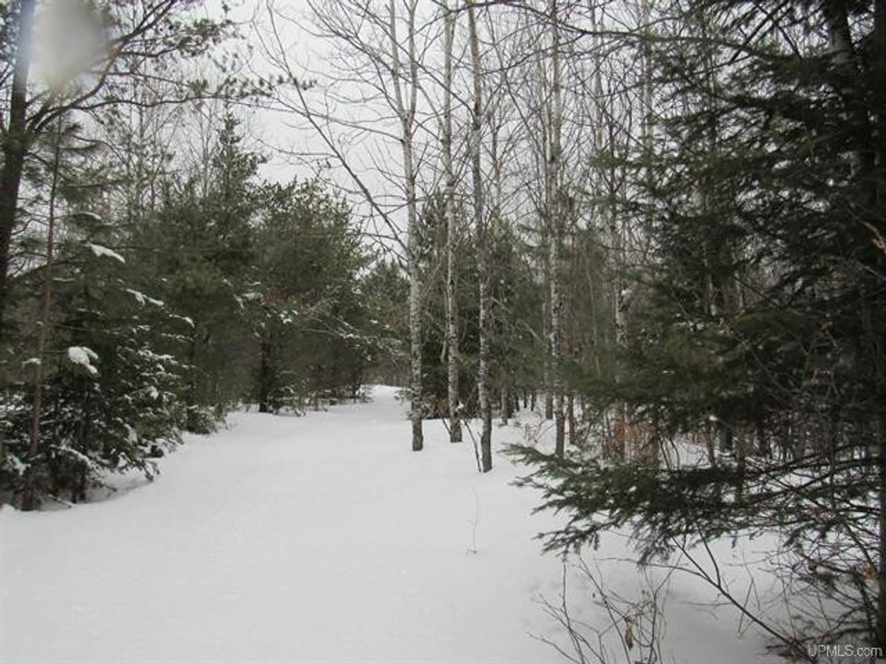 Listing Image 52