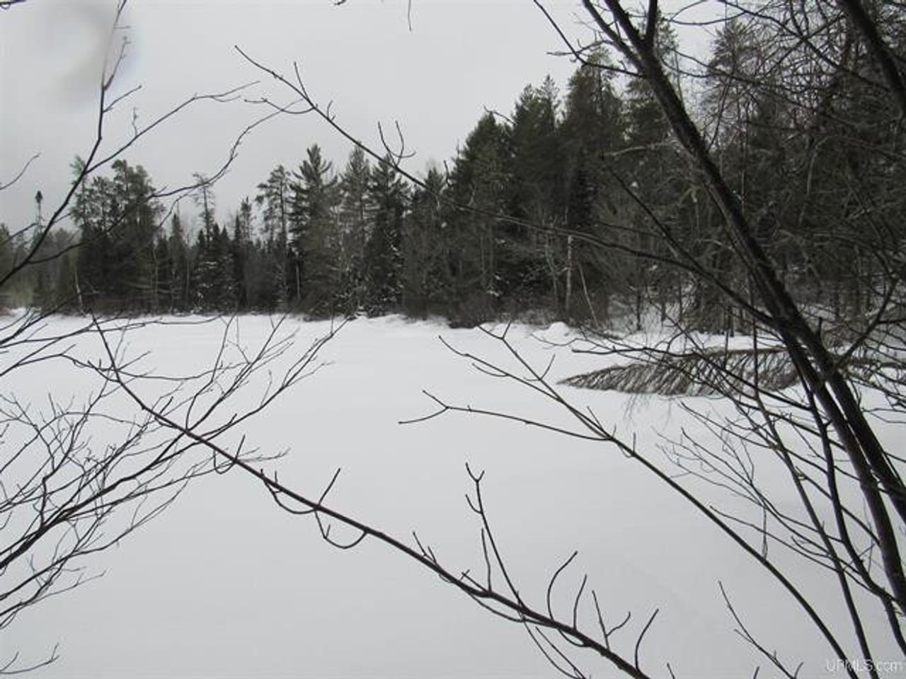 Listing Image 54