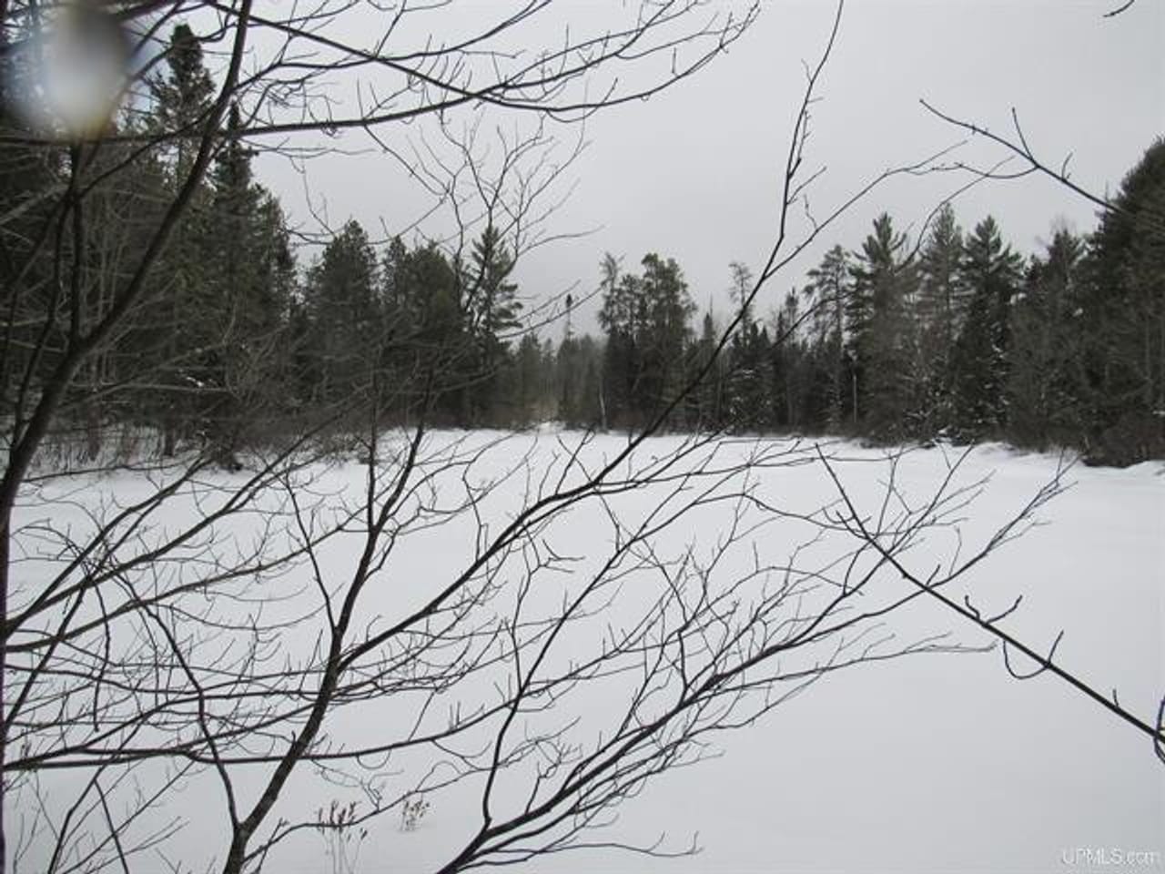 Listing Image 55