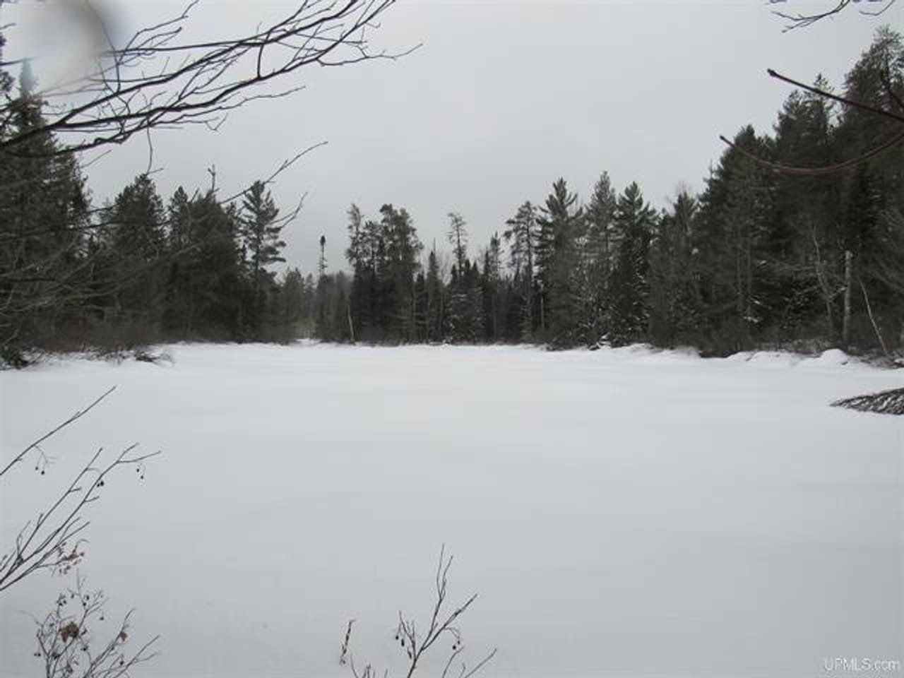 Listing Image 56