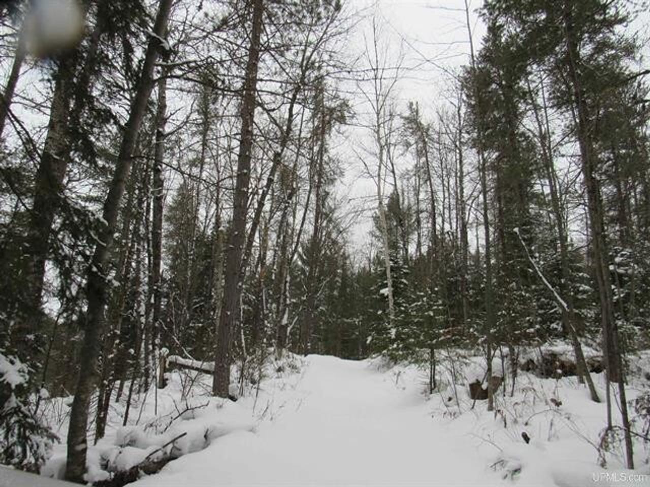 Listing Image 58