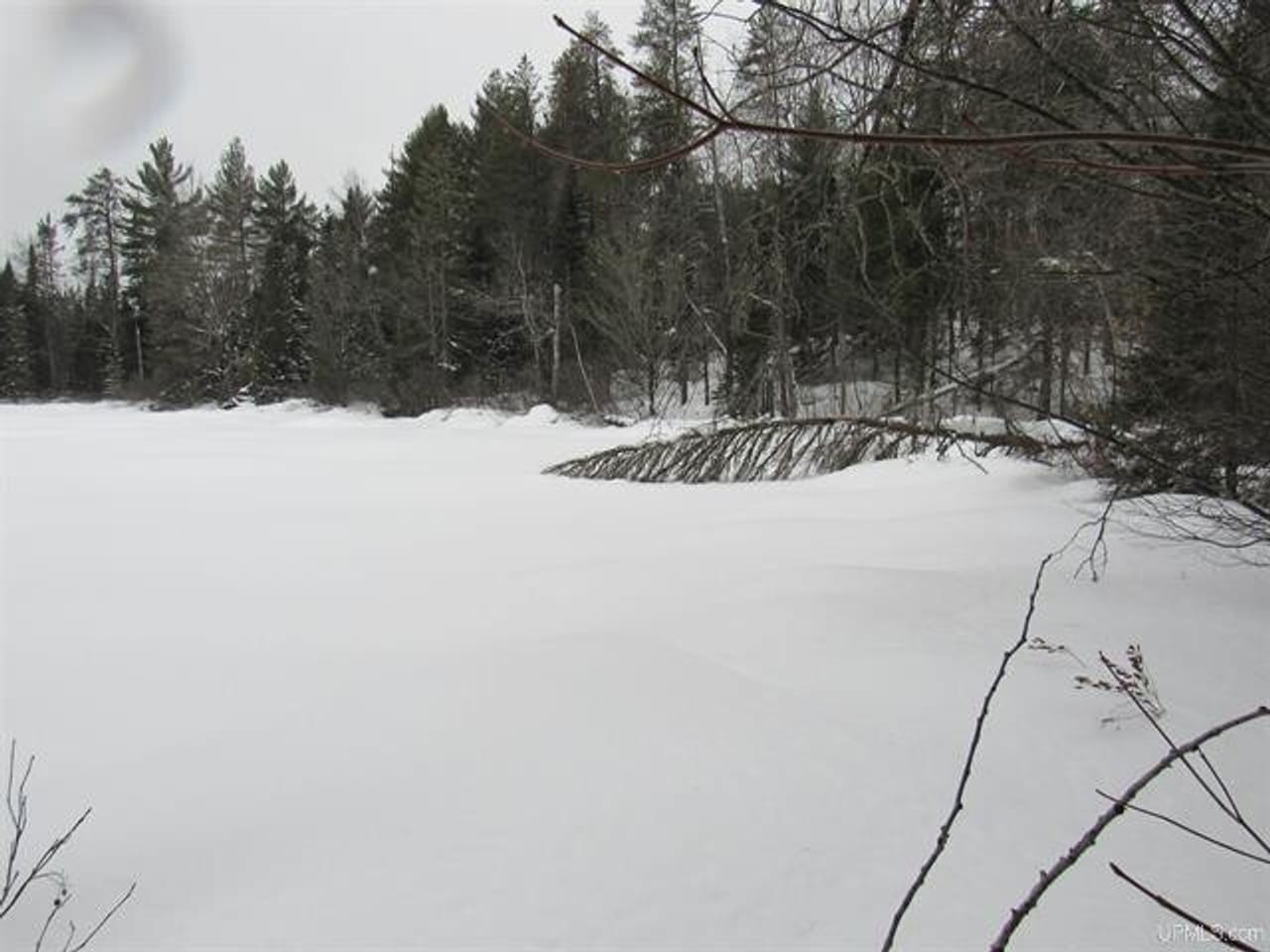 Listing Image 24