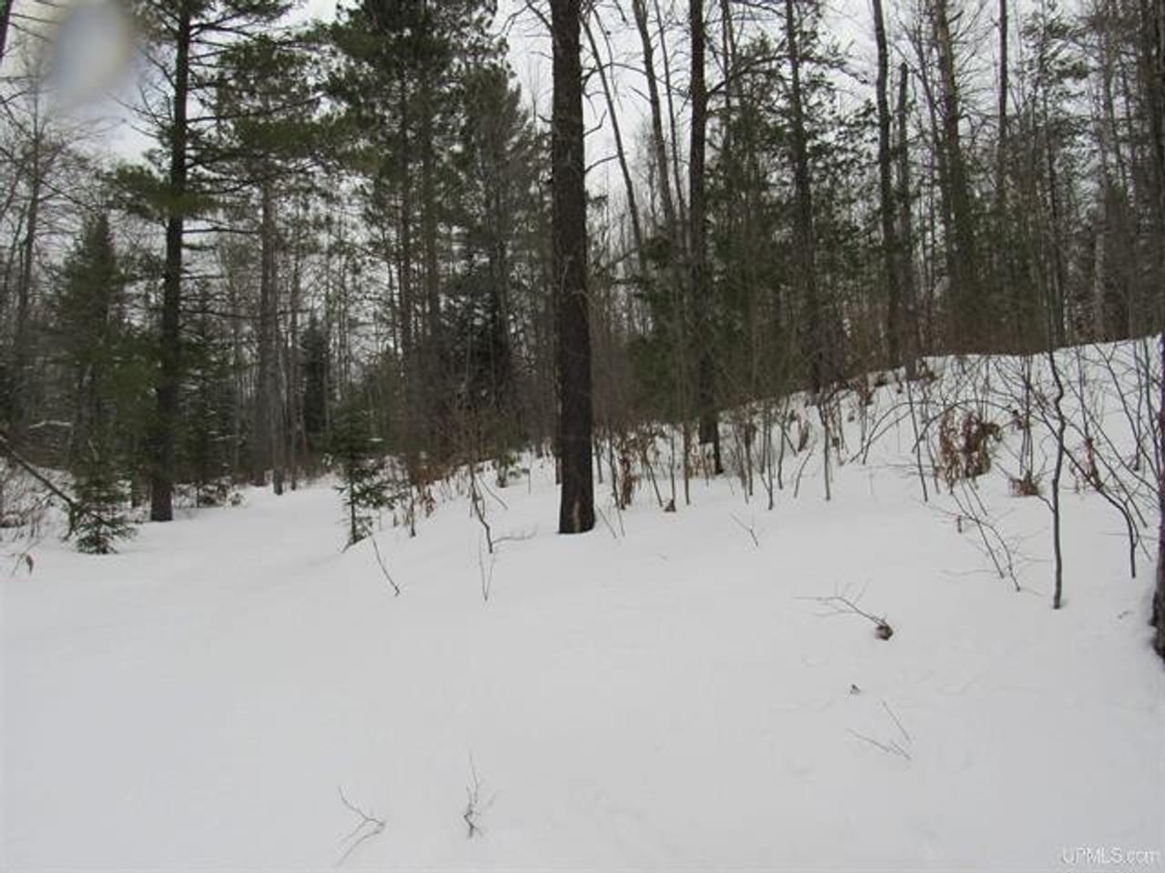 Listing Image 33