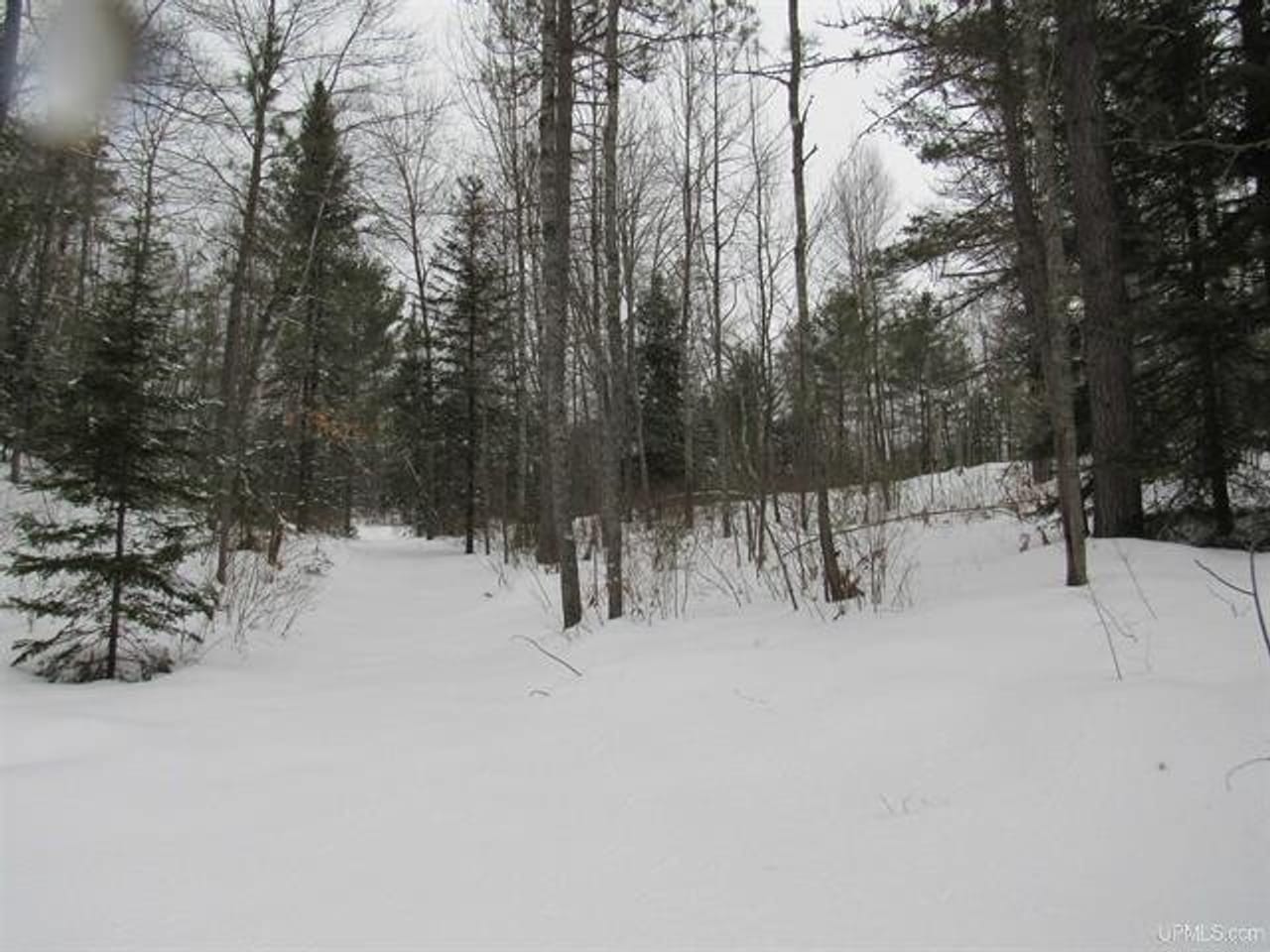 Listing Image 35