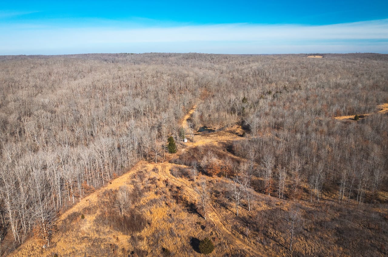 Listing Image 13