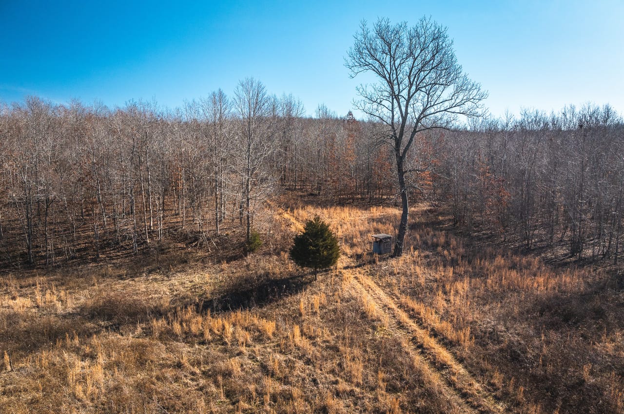 Listing Image 16