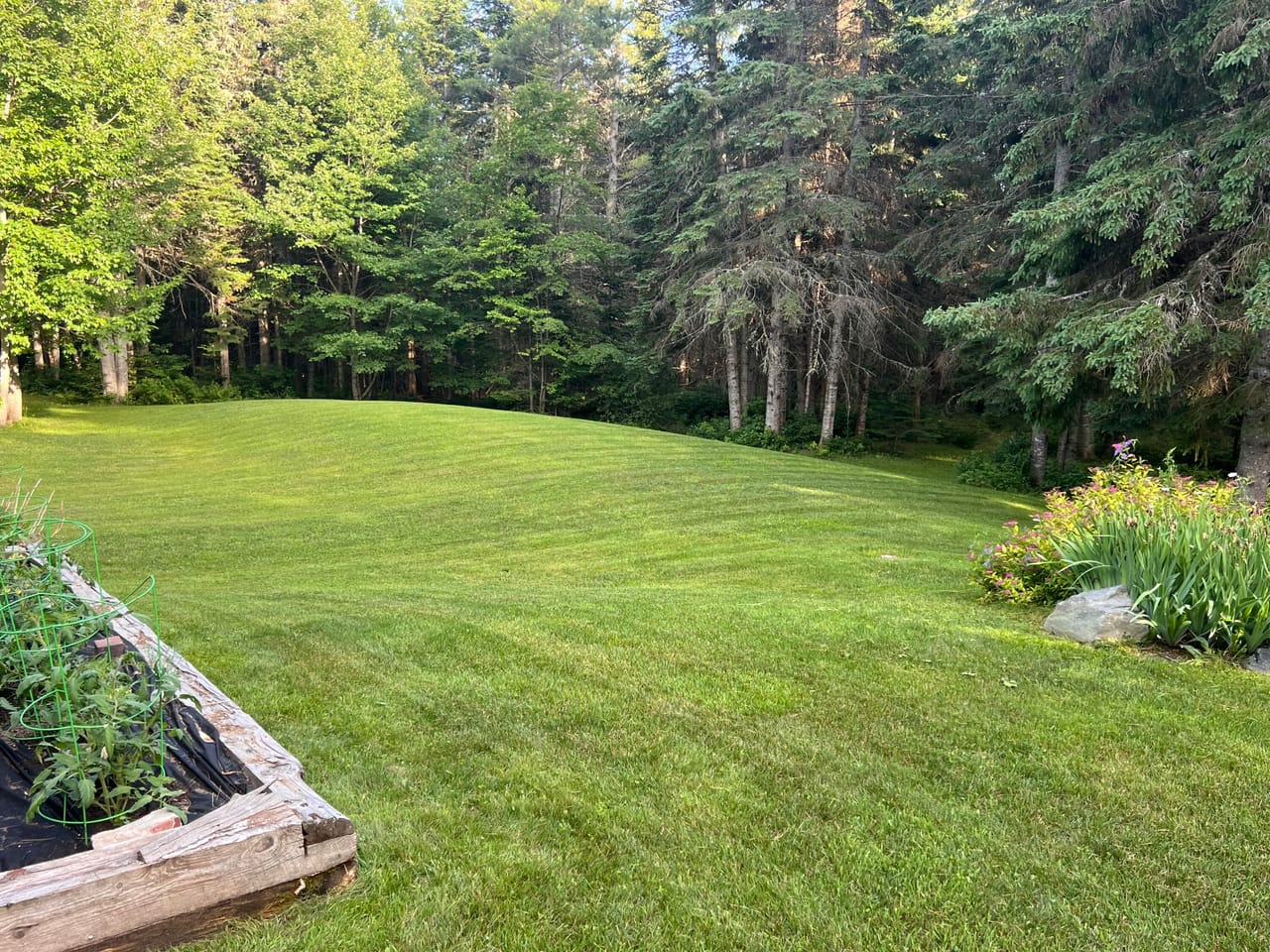 Listing Image 38