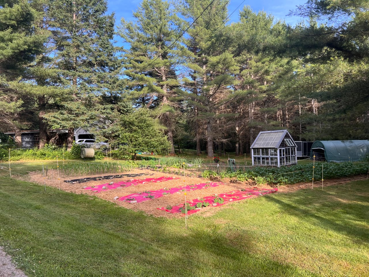 Listing Image 18