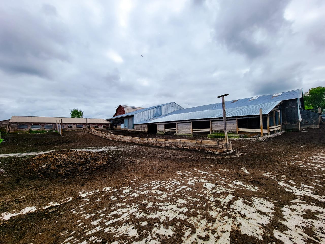 Listing Image 48