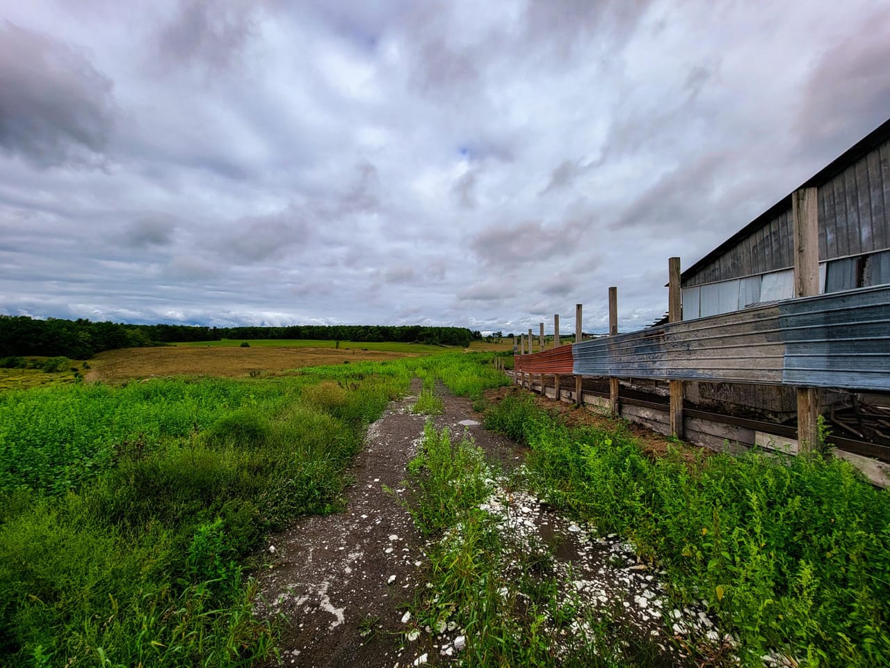 Listing Image 50
