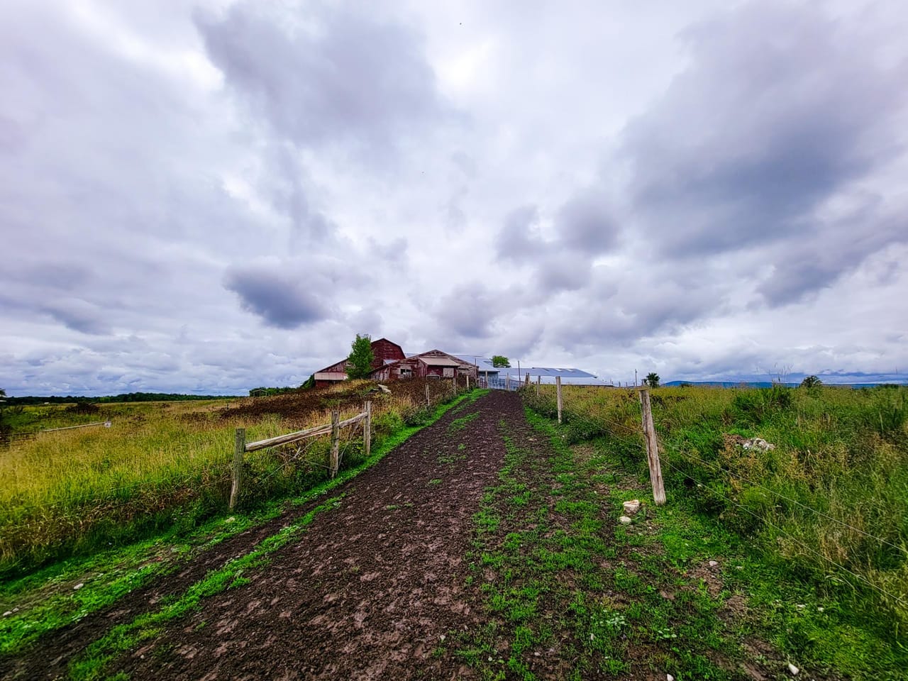 Listing Image 80