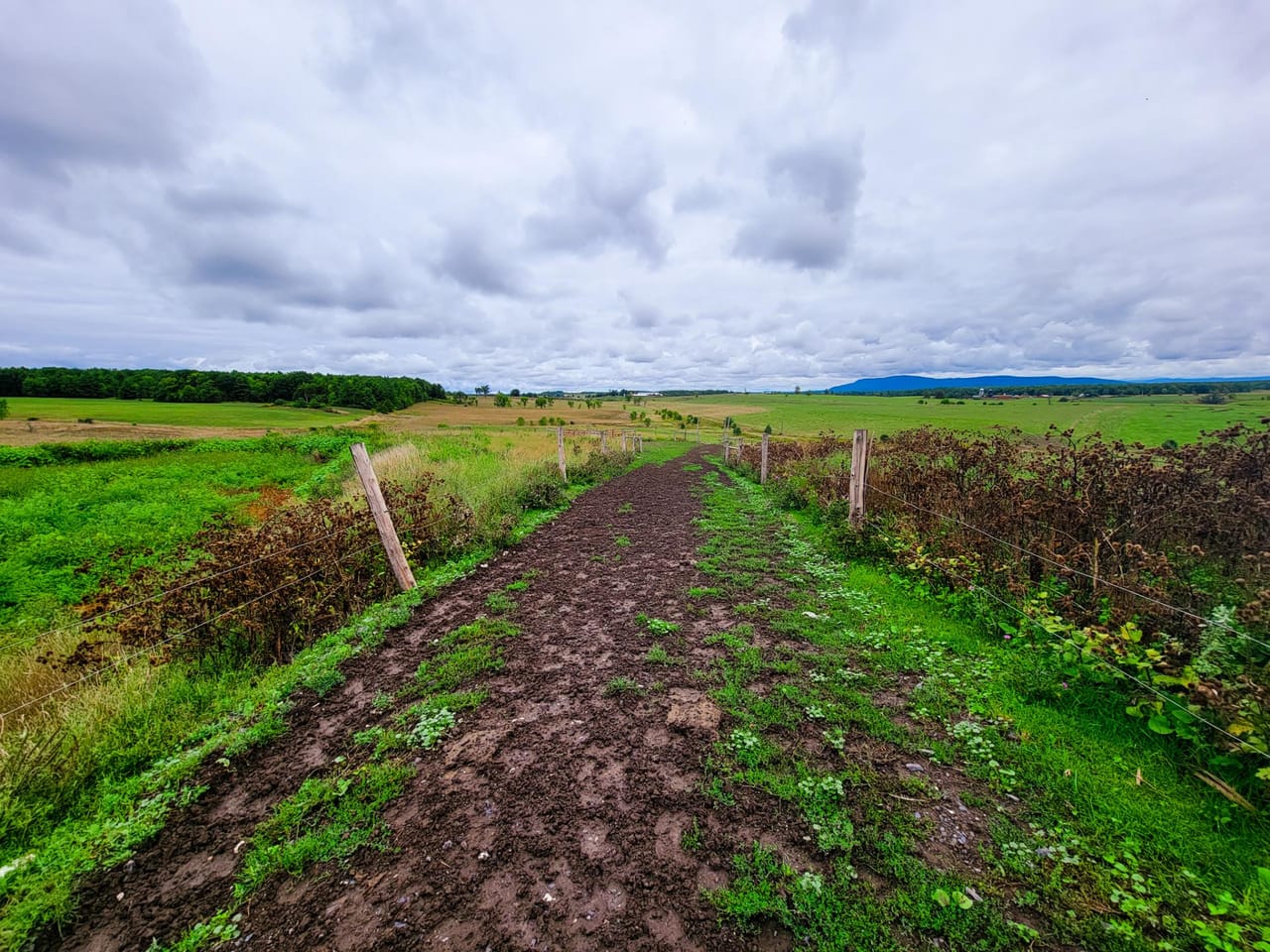 Listing Image 82