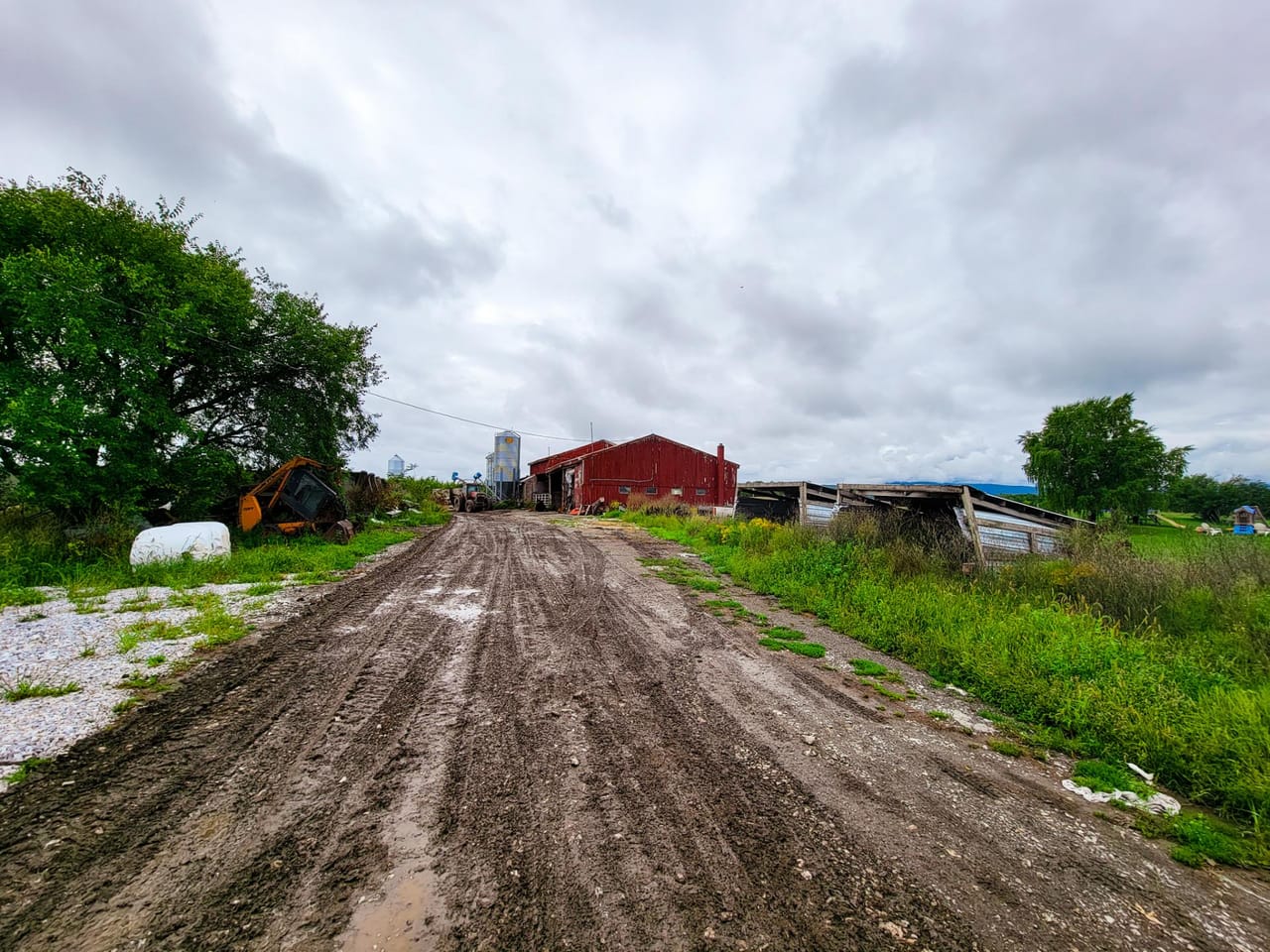 Listing Image 12