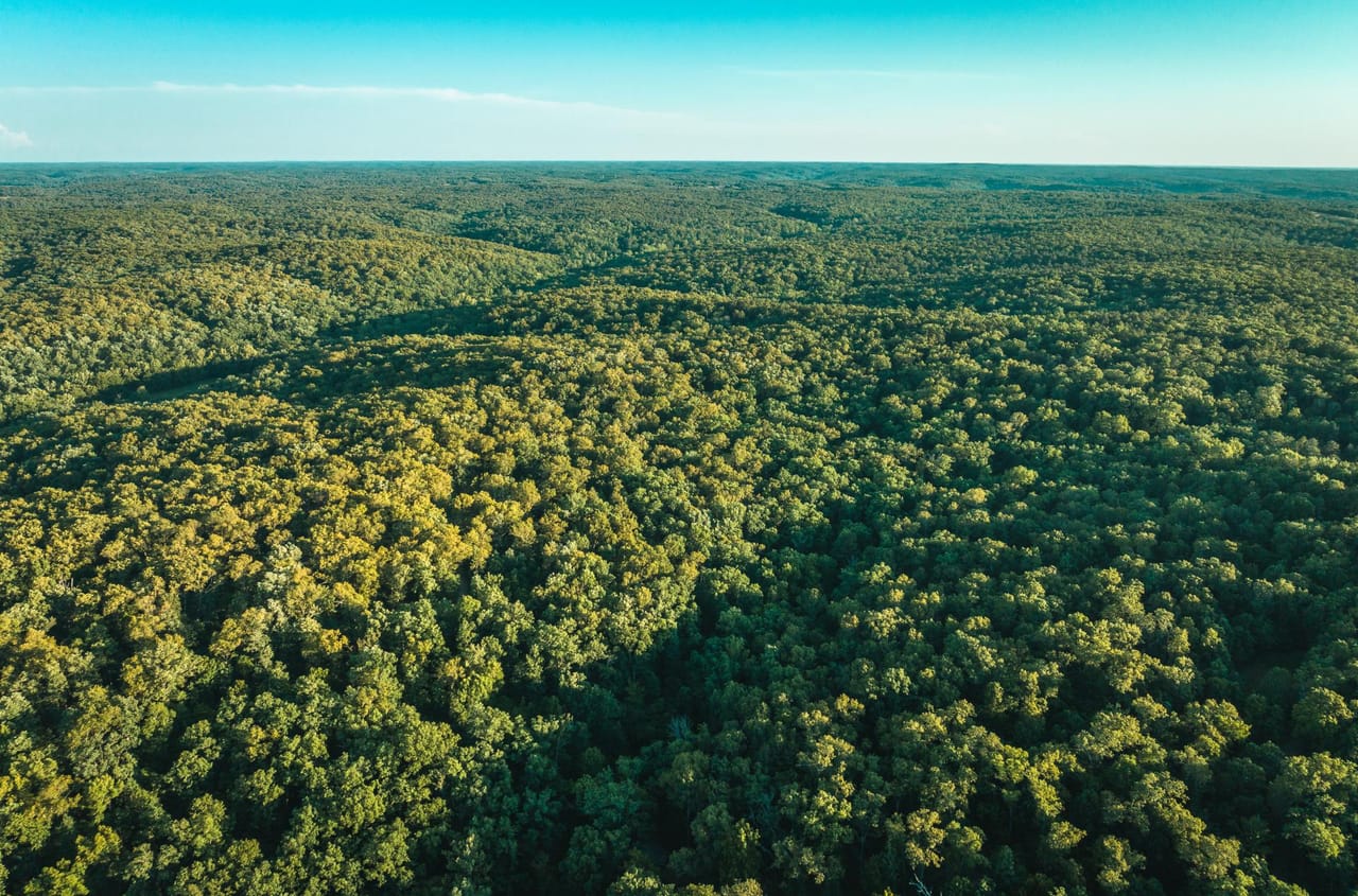 Listing Image 6