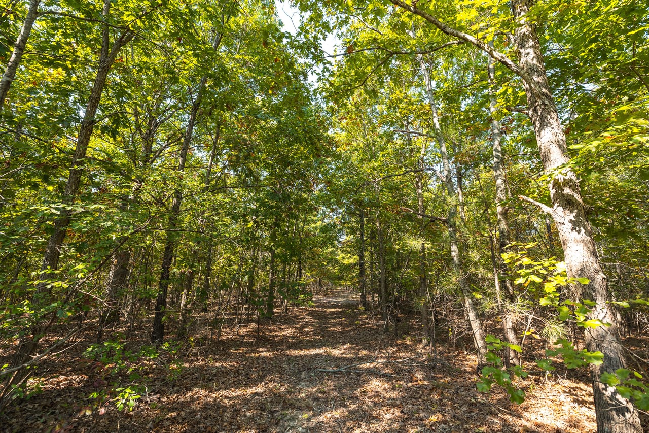 Cedar Ford Timber 110