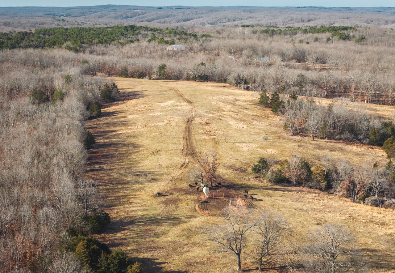 Listing Image 9
