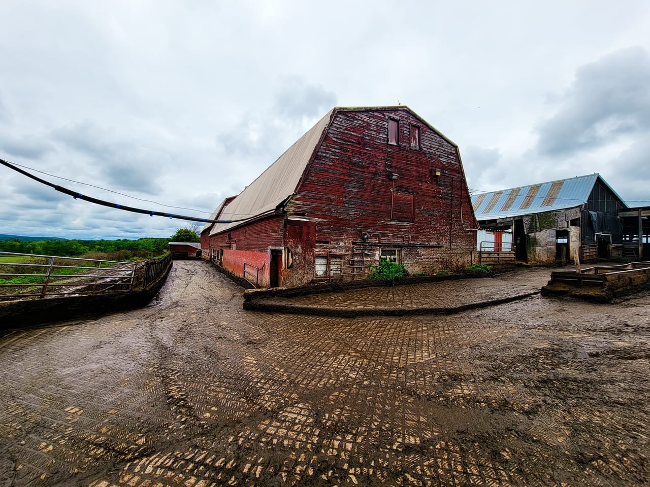 Listing Image 52