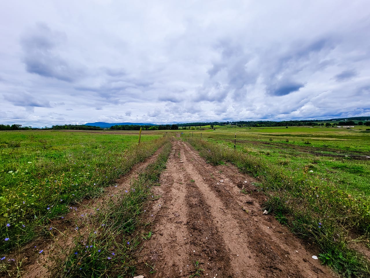 Listing Image 80