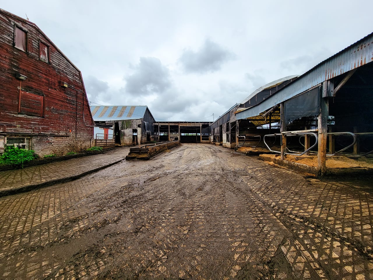 Listing Image 40