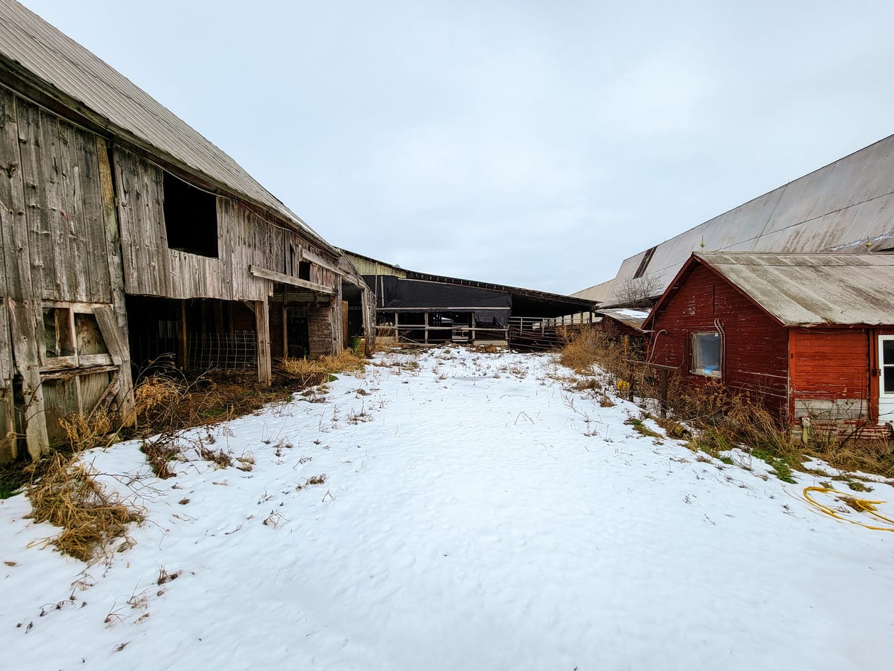Listing Image 49